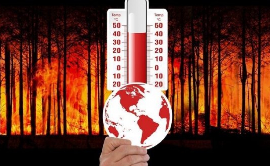Sete concelhos do Algarve em risco máximo de incêndio