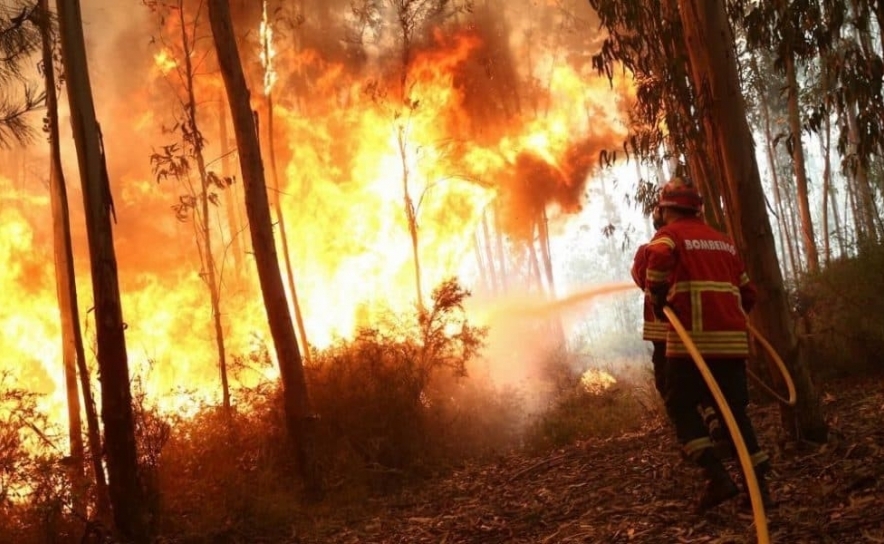 Incêndios: Mais de 30 concelhos de seis distritos em risco máximo