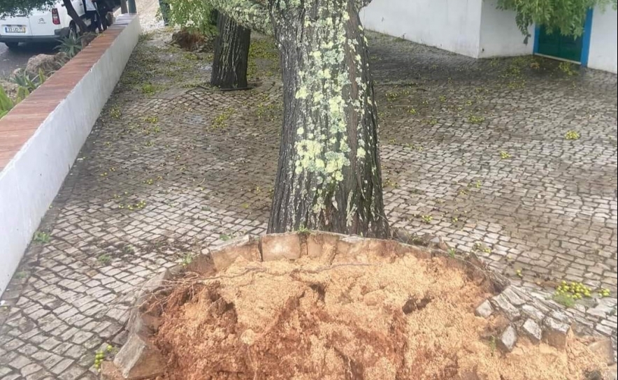 União de Fregusias de Querença, Tôr e Benafim