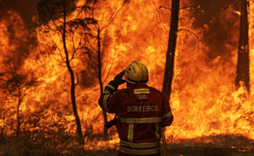 Incêndios: Três concelhos do distrito de Bragança em risco máximo