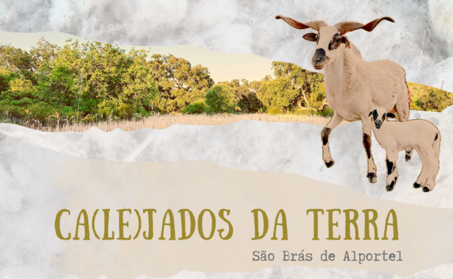 Convite para performance coletiva para o documentário: «Ca(le)jados da Terra» 
