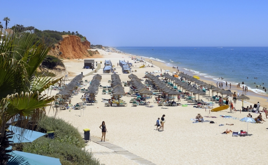 Vale Lobo