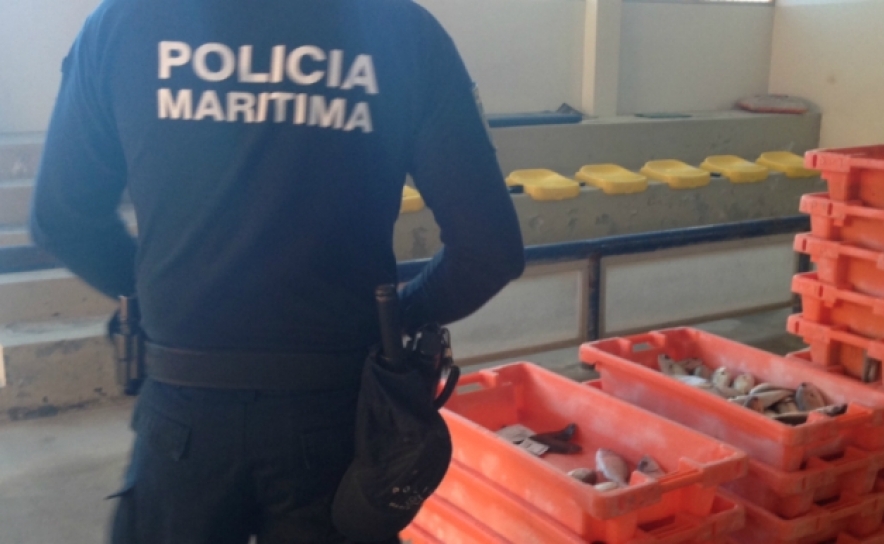 Polícia Marítima de Tavira apreende cerca de 50 kg de pescado ilegal