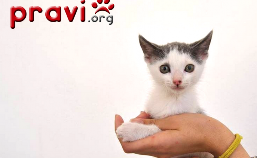 Parceria Mauro Amaral com a PRAVI | Núcleo de Faro