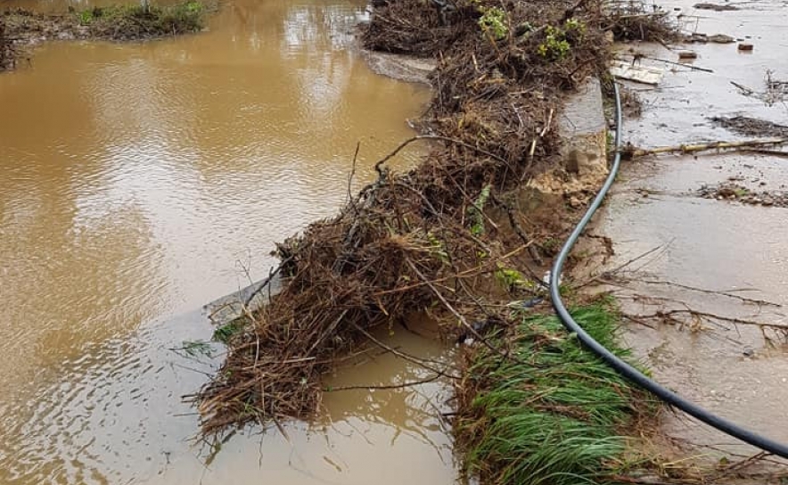 Fotos: Pres. Junta de Freguesia de Salir - Deodato João