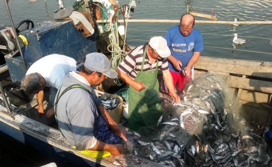 Armadores algarvios da pesca do cerco retomam atividade