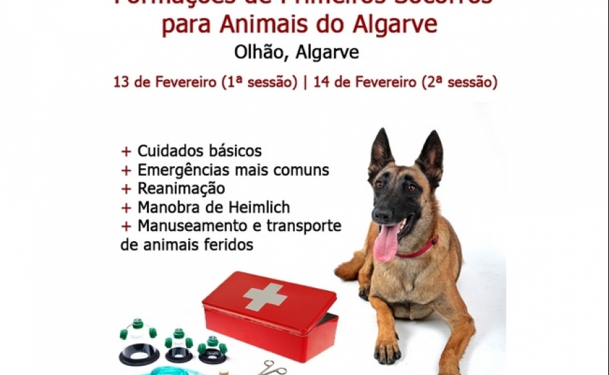 Olhão pioneiro na região em formação de primeiros socorros para animais
