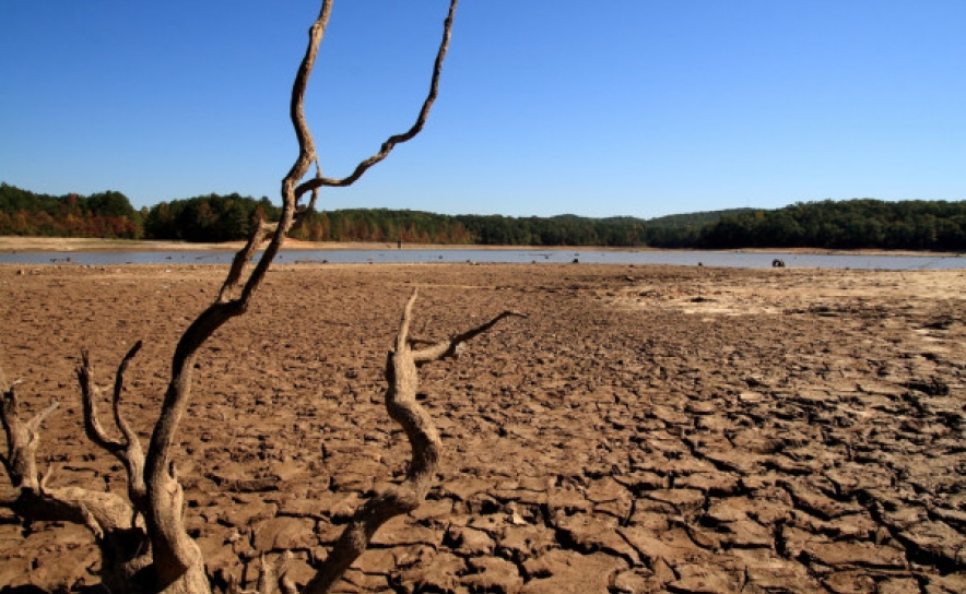 Seca: Mais de 90% do território em seca severa ou extrema