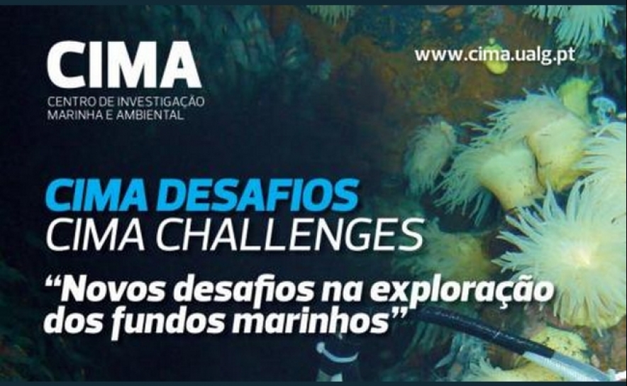 CIMA DESAFIOS