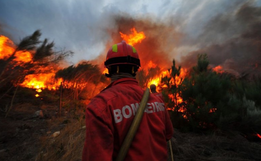 Incêndios: Vinte e cinco concelhos de cinco distritos em perigo máximo