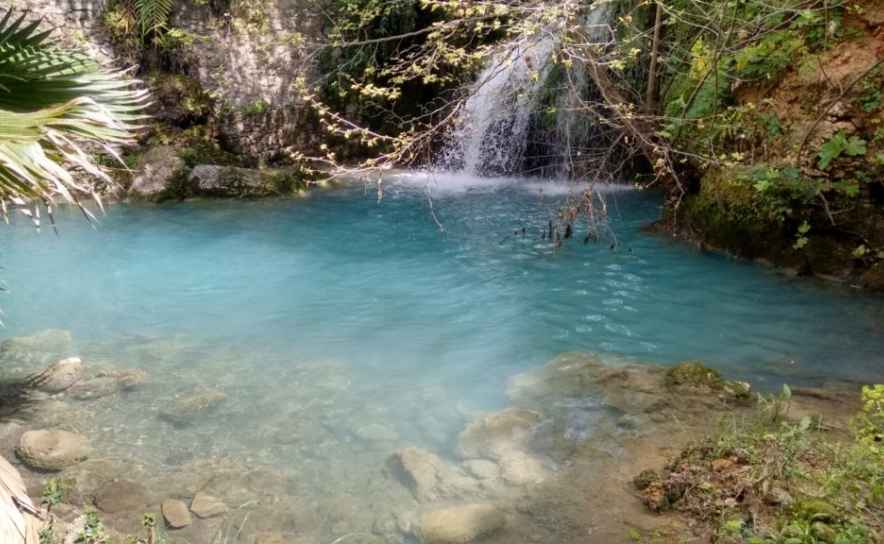 Renaturalização de ribeira em Loulé é primeiro passo para novo parque verde 