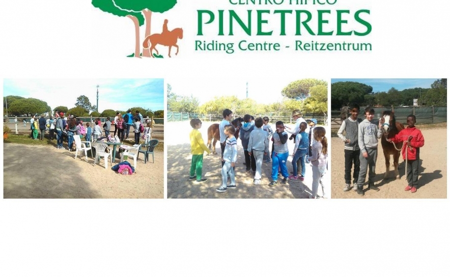 Jovens da «Akredita em Ti» vivem experiência no Centro Hípico Pinetrees