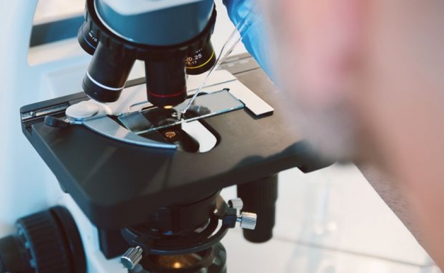 Novo estudo revela efeitos dos nanoplásticos nas células da pele