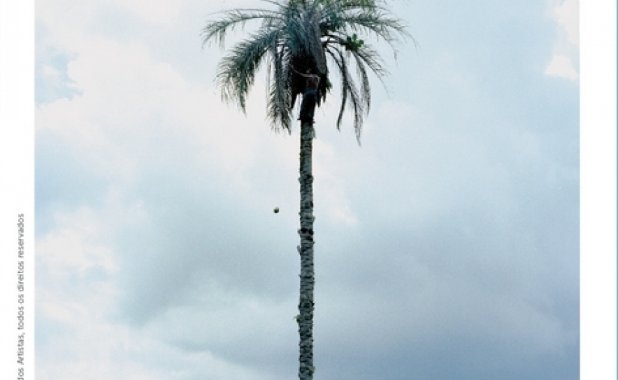 INAUGURAÇÃO EXPOSIÇÃO DE FOTOGRAFIA DO NOVO BANCO NO MUSEU MUNICIPAL