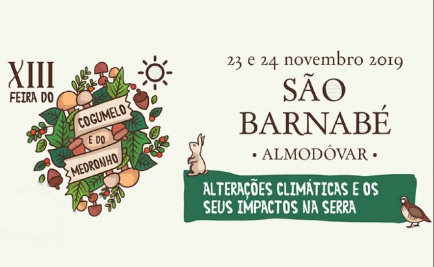 São Barnabé acolhe XIII Feira do Cogumelo e do Medronho 