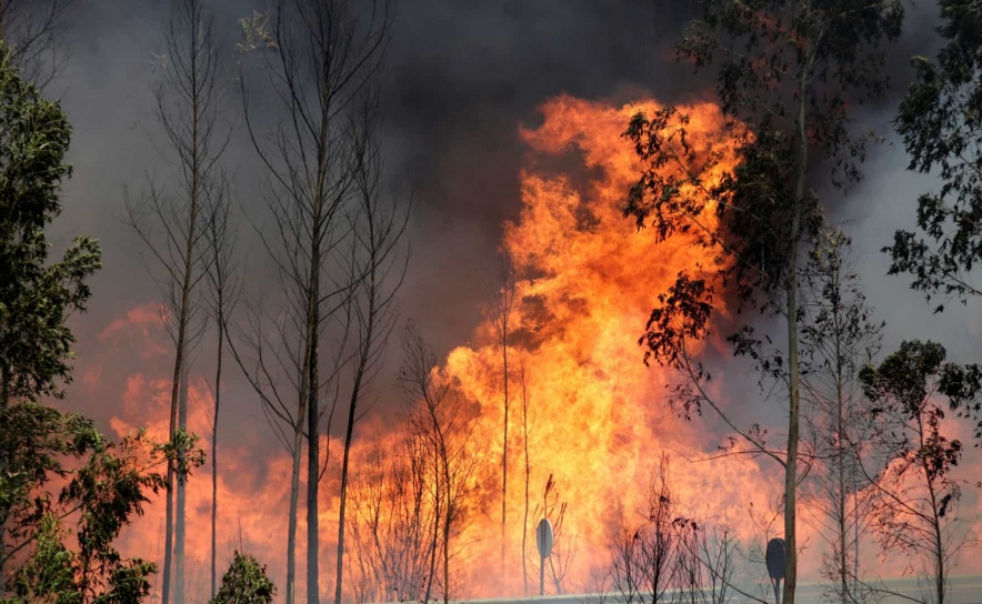 Incêndios: Vinte concelhos de seis distritos do continente em risco máximo