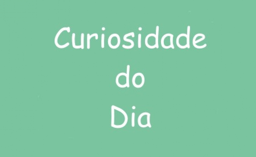 CURIOSIDADE DO DIA