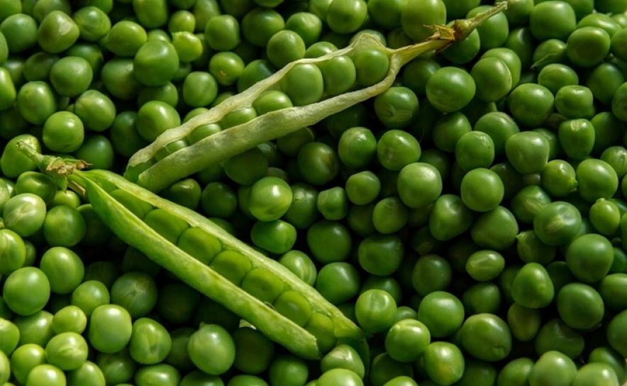 Demonstração culinária de ervilhas