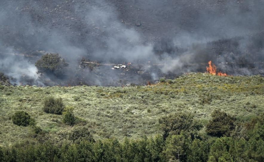 Incêndios: Mais fogos e mais área ardidas em janeiro, face ao mesmo mês de 2021