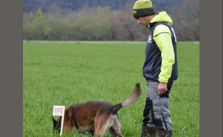 Vice campeão nacional 2018 Nuno Santos com Cão de Pastor Belga Malinois Aramis Black and Blond