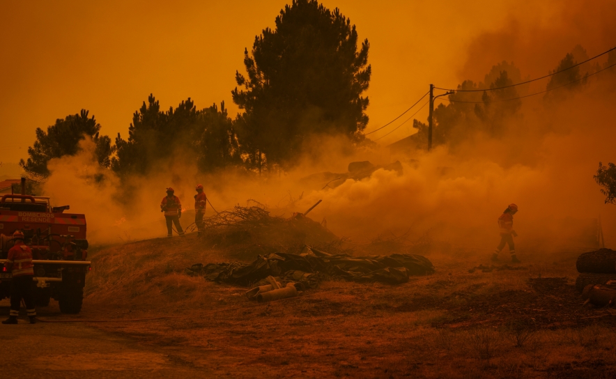 Fogos já consumiram mais de 172 mil hectares este ano, 32 mil entre sábado e domingo