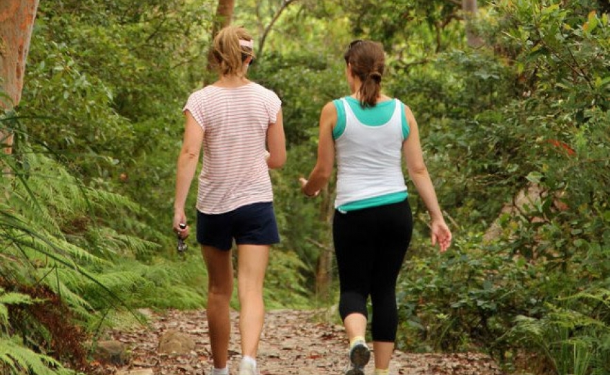 Turismo do Algarve convida a descobrir três áreas protegidas da região