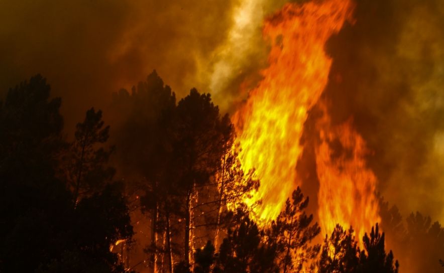Incêndios: Proteção Civil coloca quatro distritos em estado de alerta de nível vermelho