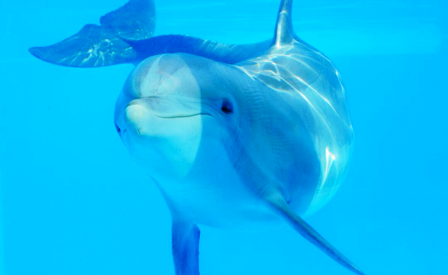 JOÃO MOUTINHO ESCOLHE O ZOOMARINE PARA DIVERSÃO COM A FAMÍLIA 