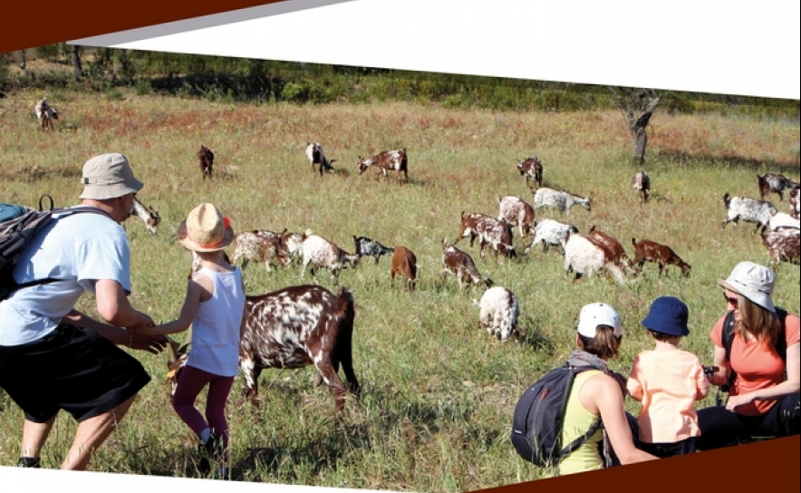 V FESTIVAL DE CAMINHADAS ALCOUTIM E SANLÚCAR DE GUADIANA