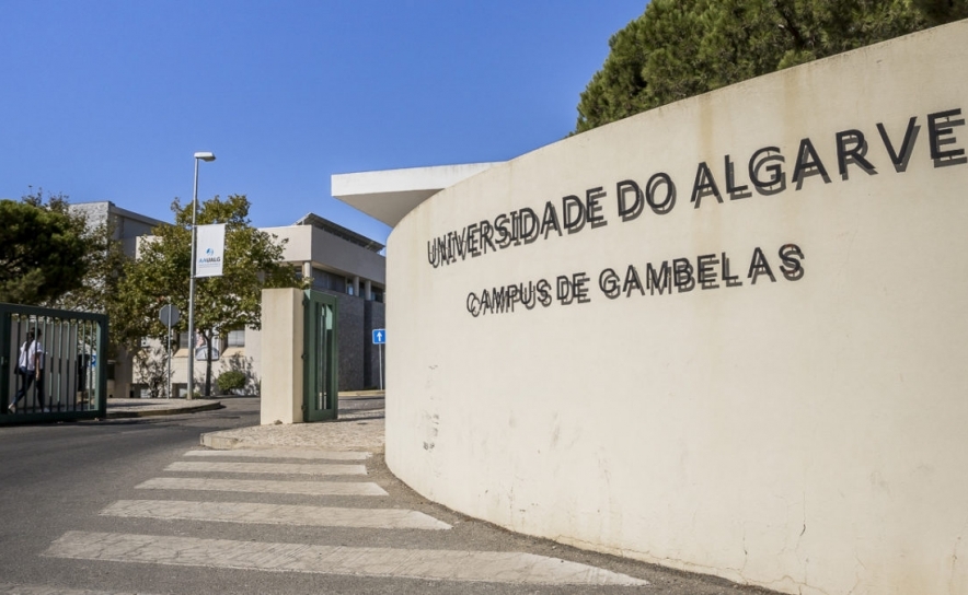 Universidade do Algarve vai aumentar para 100 as vagas em Medicina