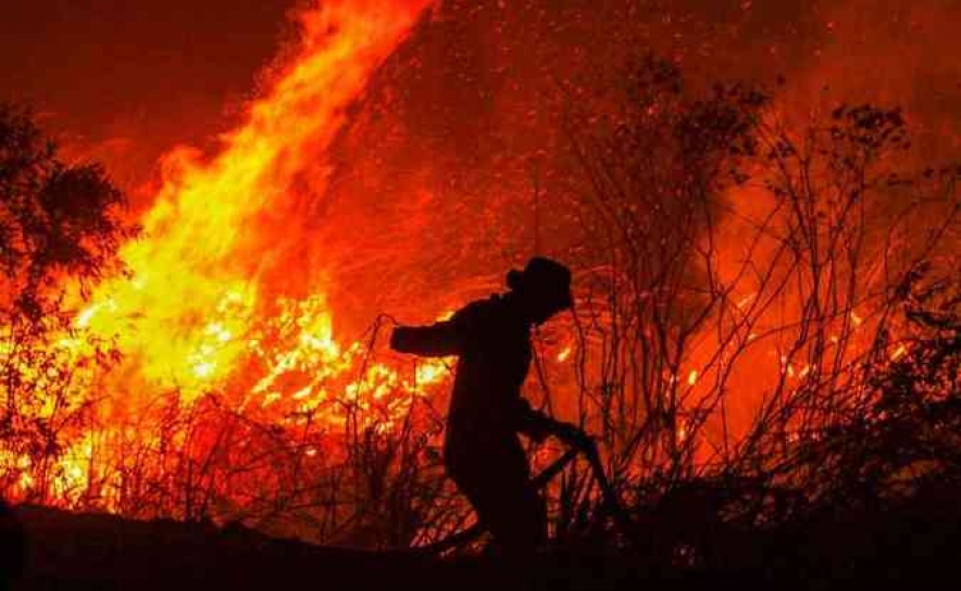Fogo no Algarve obriga a retirar cerca de 30 pessoas e põe em perigo localidades