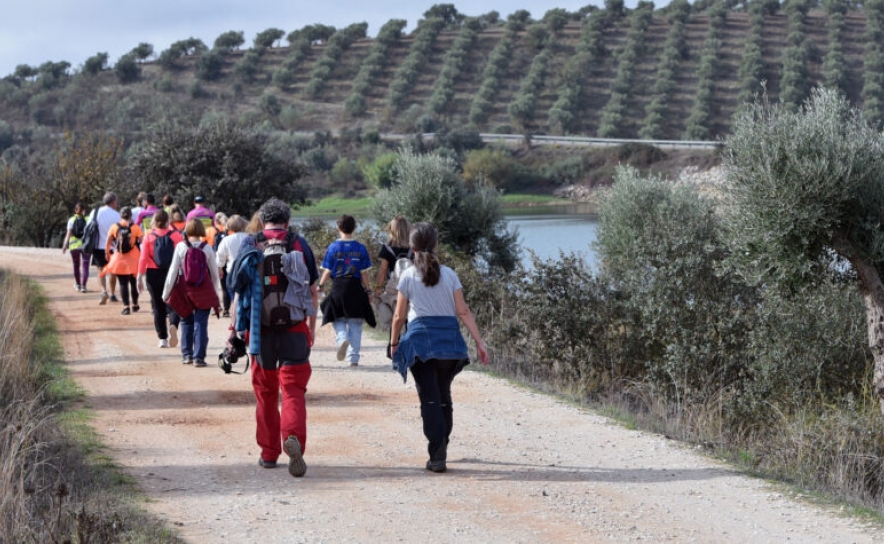 Alentejo Walking Festival 2025 «cumpriu o objetivo» e contou com mais de 1250 participantes
