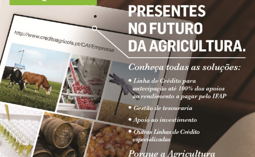 Crédito Agrícola reforça aposta no sector agrícola