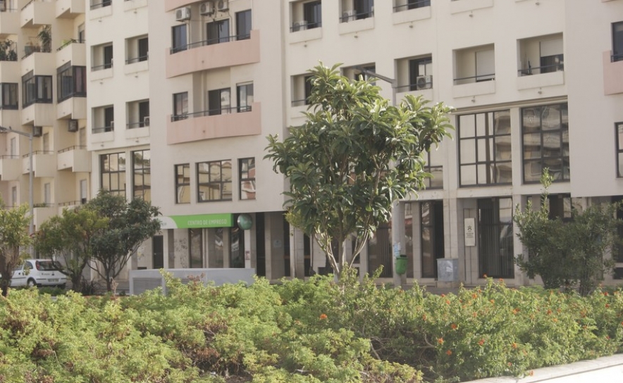 ALGARVE 2020 LANÇA CONVITE AO IEFP PARA PROMOVER O EMPREGO E A EMPREGABILIDADE   