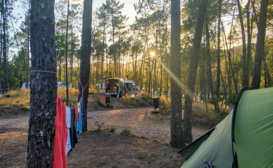 Aljezur e Vila do Bispo: Detetadas 81 infrações por campismo e caravanismo ilegal