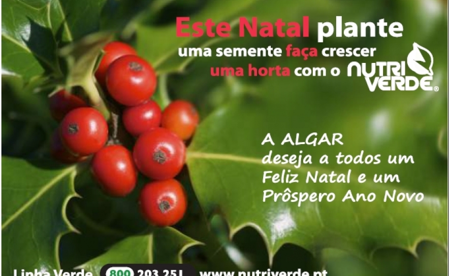Neste Natal a ALGAR incentiva os seus colaboradores e clientes a criar a sua própria horta