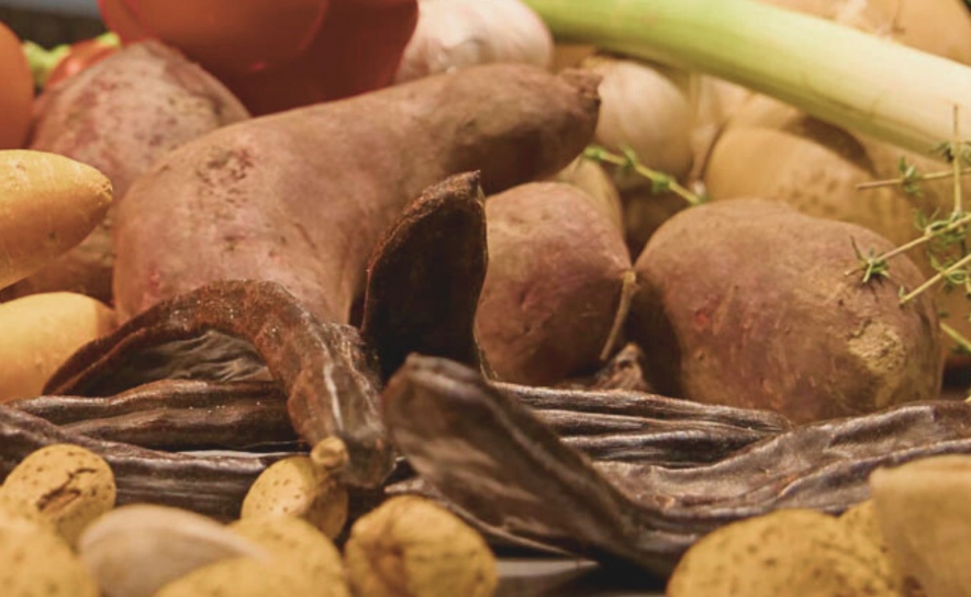 Lançamento da Marca Saborear o Algarve