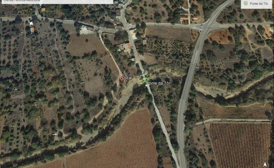 AUTARQUIA DE LOULÉ ENTREGA MÁQUINAS DESTROÇADORAS DE  SOBRANTES ÀS JUNTAS DE FREGUESIA