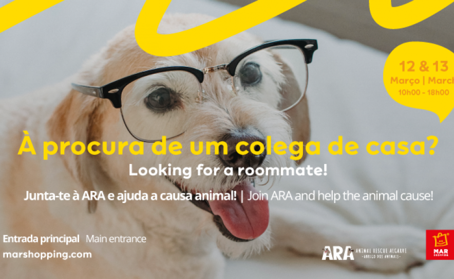 CAMPANHA DE ADOÇÃO RESPONSÁVEL DE ANIMAIS ESTÁ DE REGRESSO AO MAR SHOPPING ALGARVE