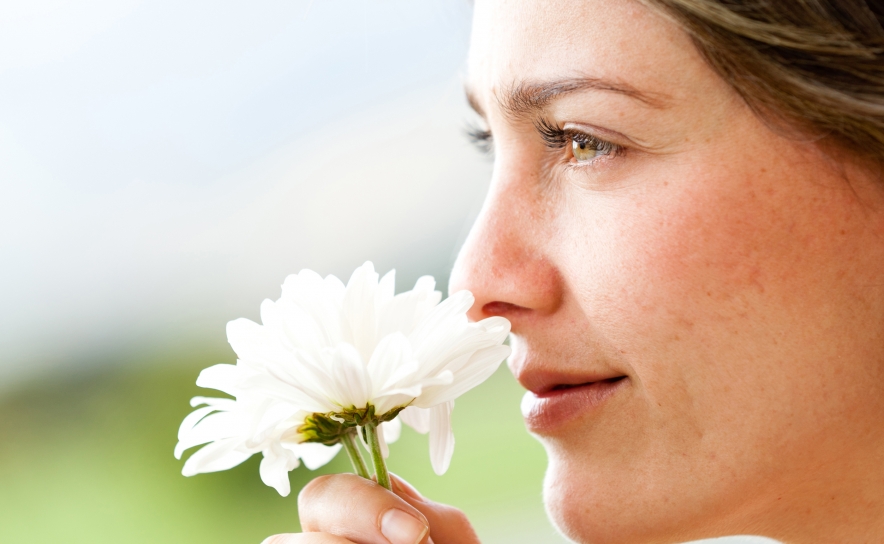 Calendário de maio: o mês da mãe e das flores