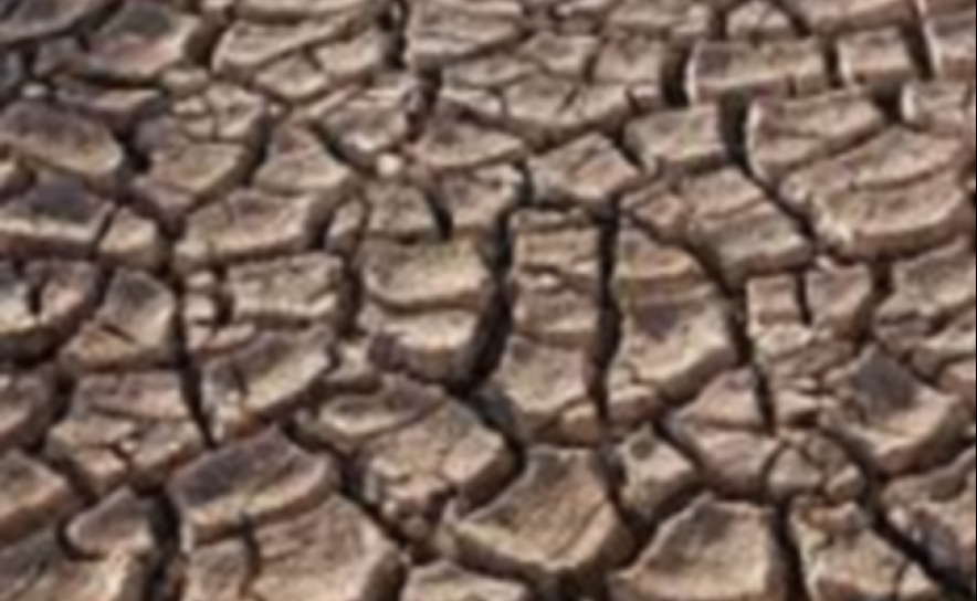 Seca: Agricultores da Vigia no Alentejo com «ano mais grave» de sempre 