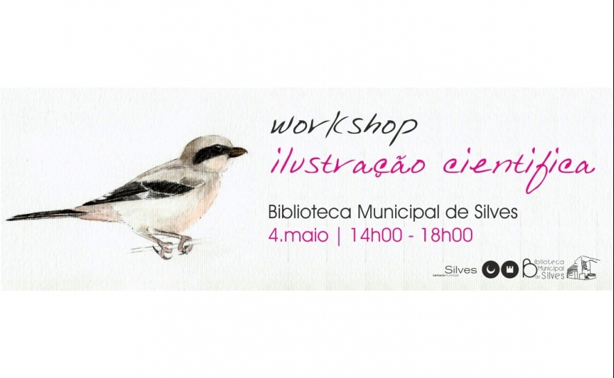 Biblioteca Municipal de Silves recebe Workshop de Ilustração Científica