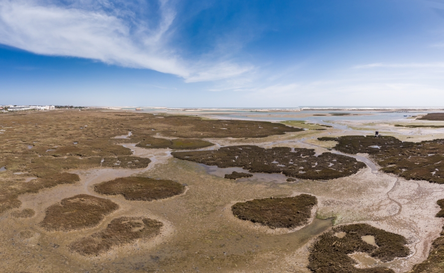 Parque Natural da Ria Formosa procura opiniões de residentes e turistas