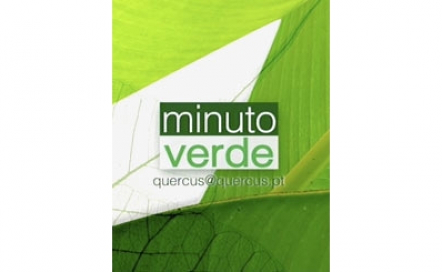 VILAMOURA BRILHA NO “MINUTO VERDE”