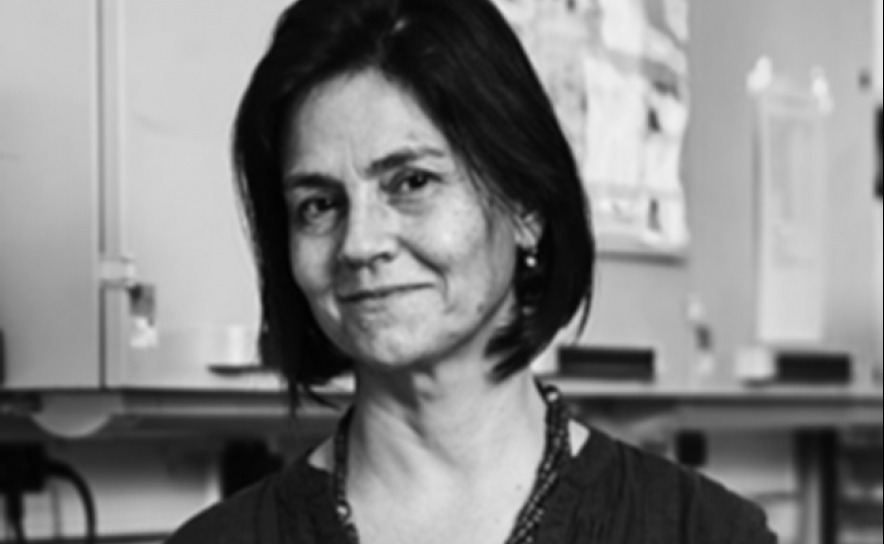 Isabel Palmeirim