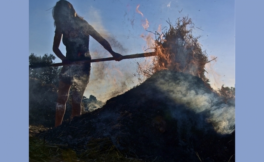 Alquimia- Sara Navarro