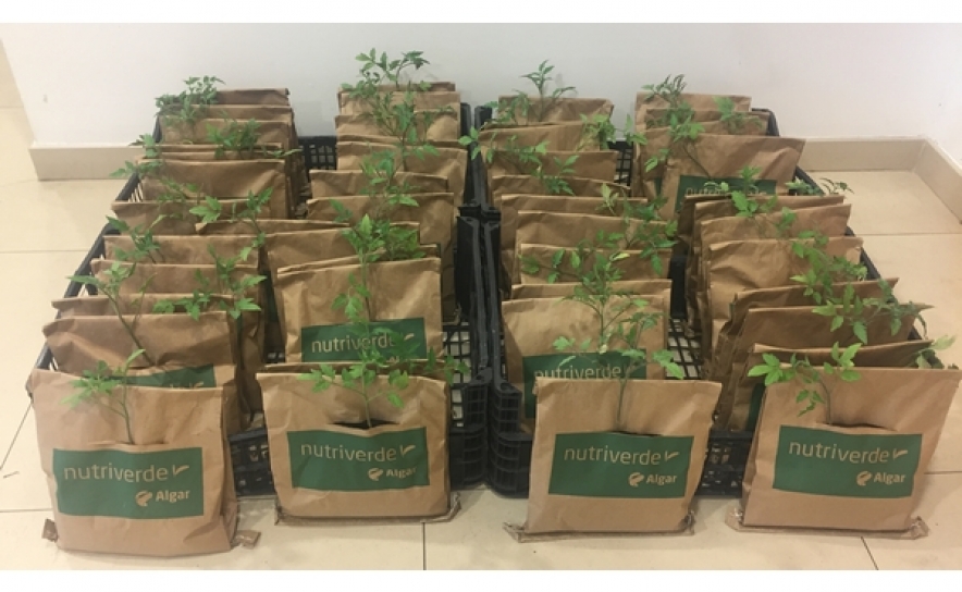  A Algar e o Nutriverde cumprem a tradição! 