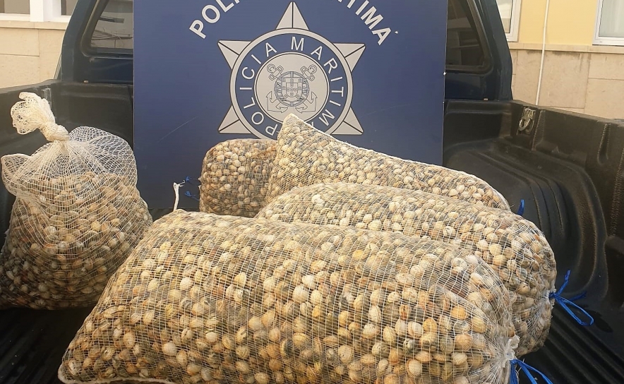 Polícia Marítima apreende 150kg de berbigão na Ria Formosa em Faro