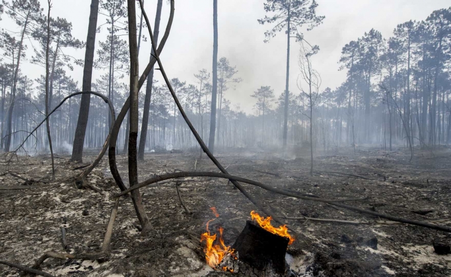 Incêndios: Cerca de 70 concelhos do interior Norte e Centro em perigo máximo