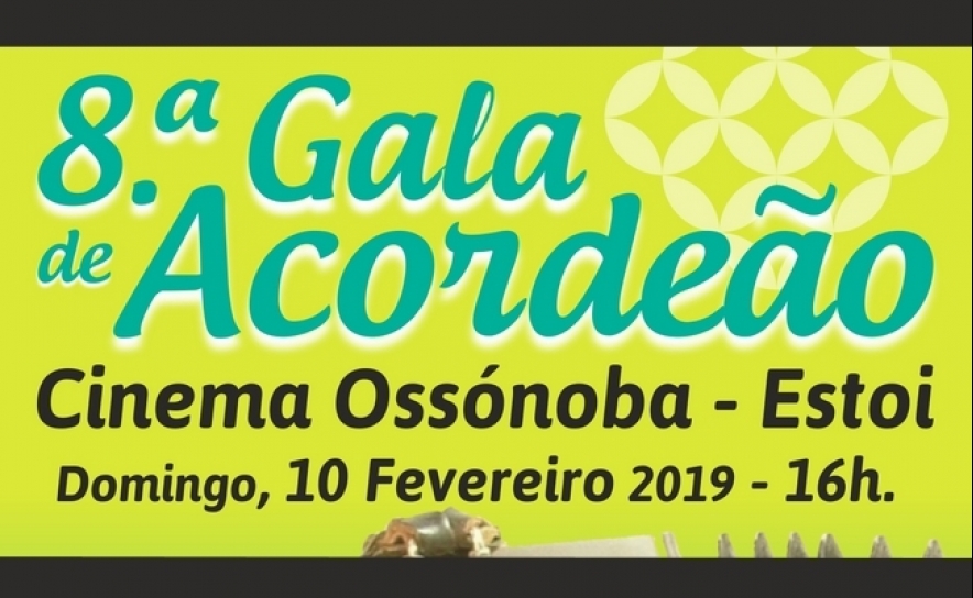 8ª Gala de Acordeão